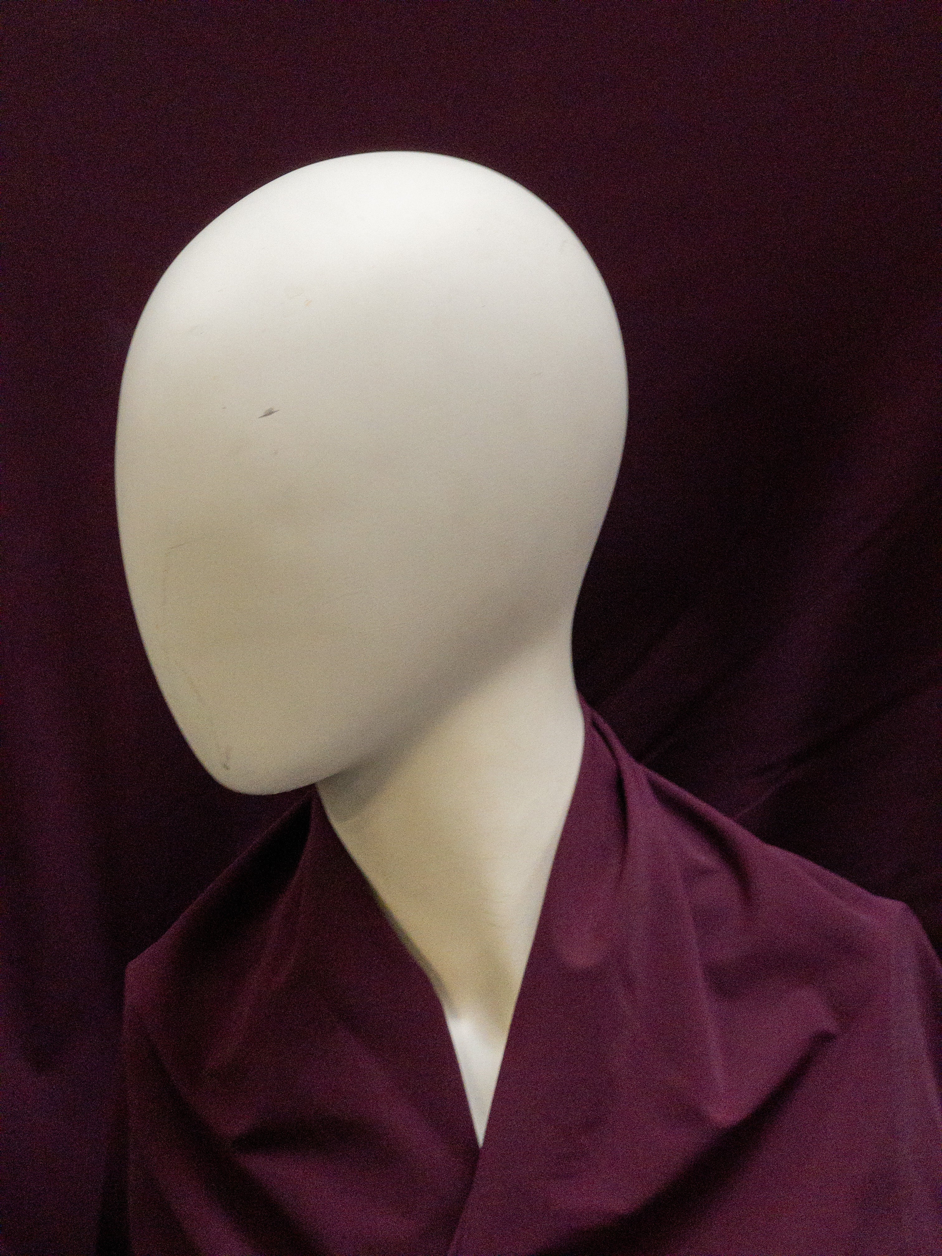 Travel Eurojersey original kleur cerise