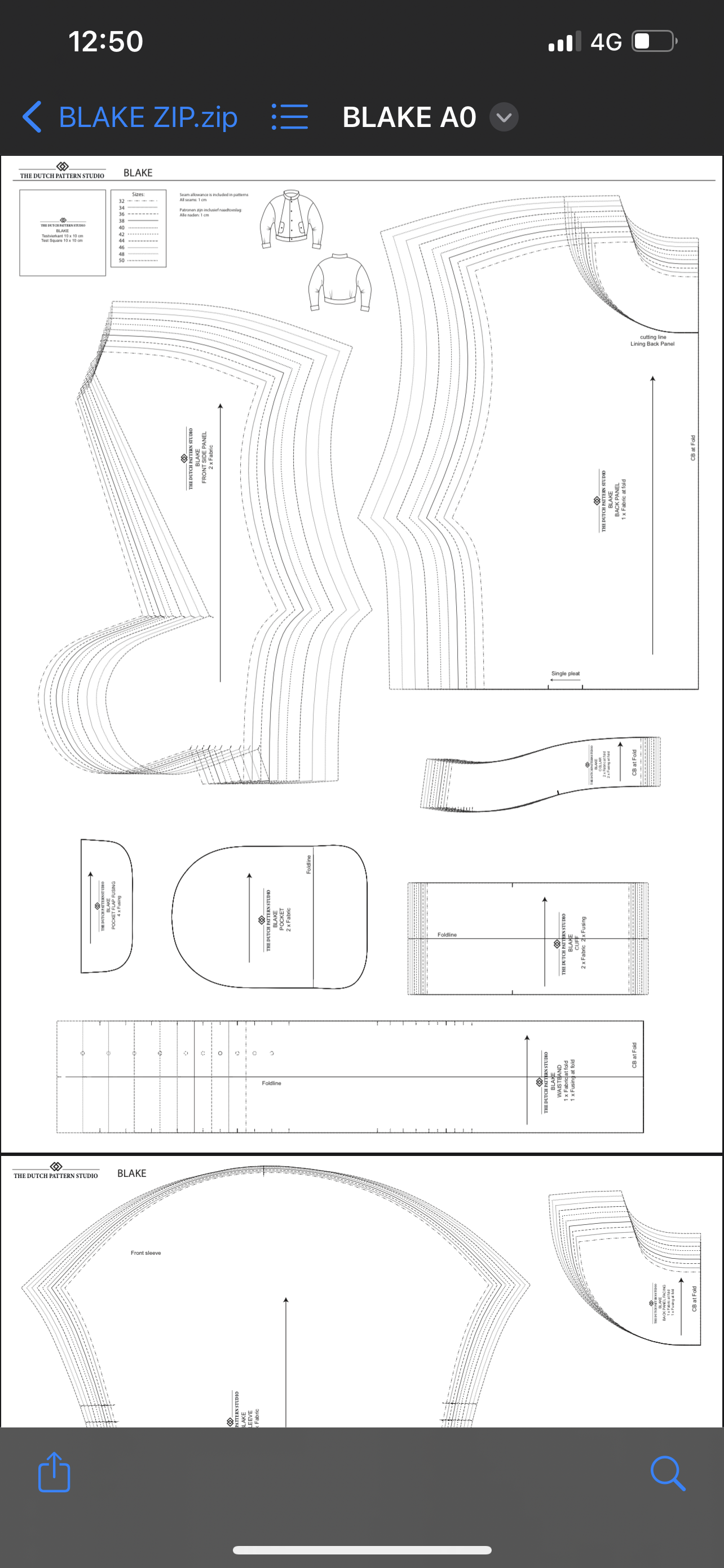 Blake pattern printed version