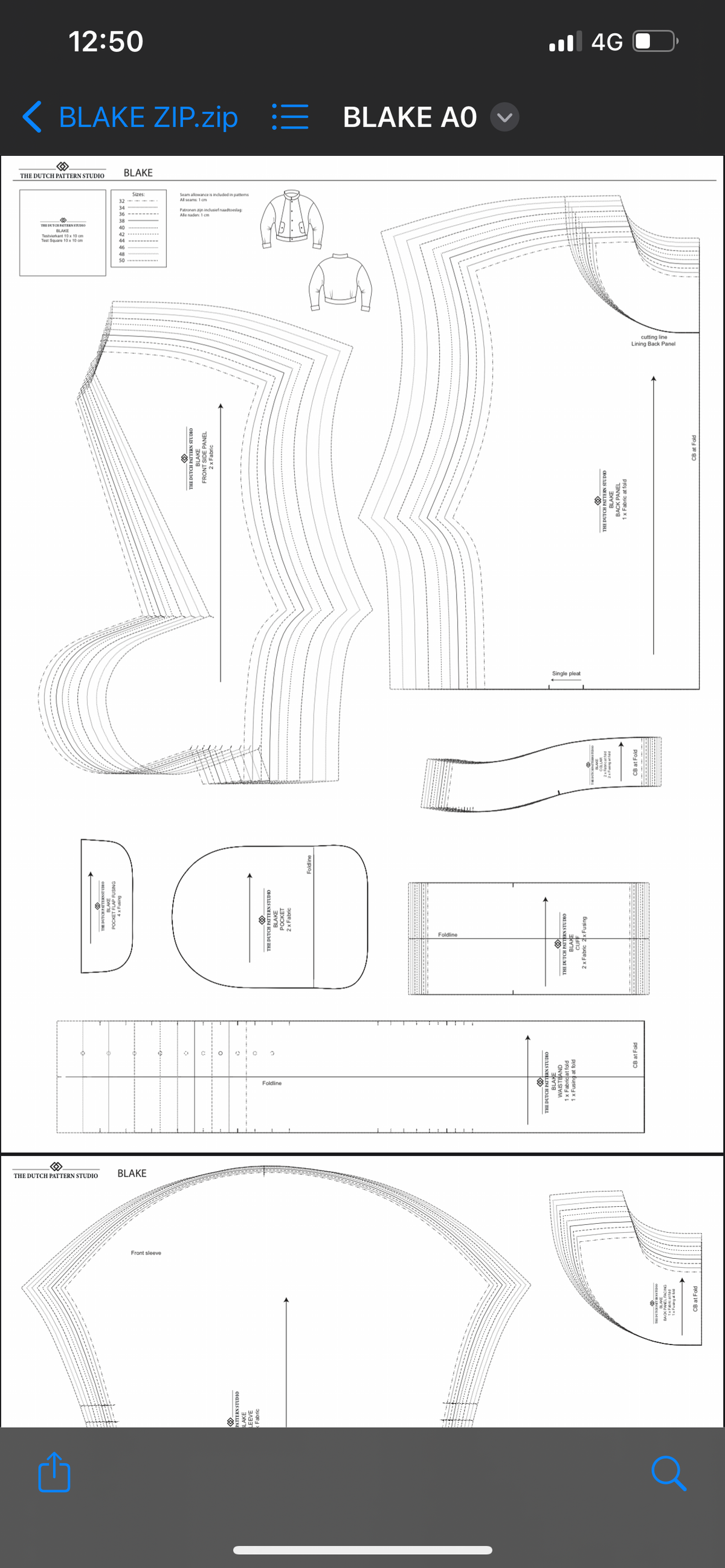 Blake pattern printed version