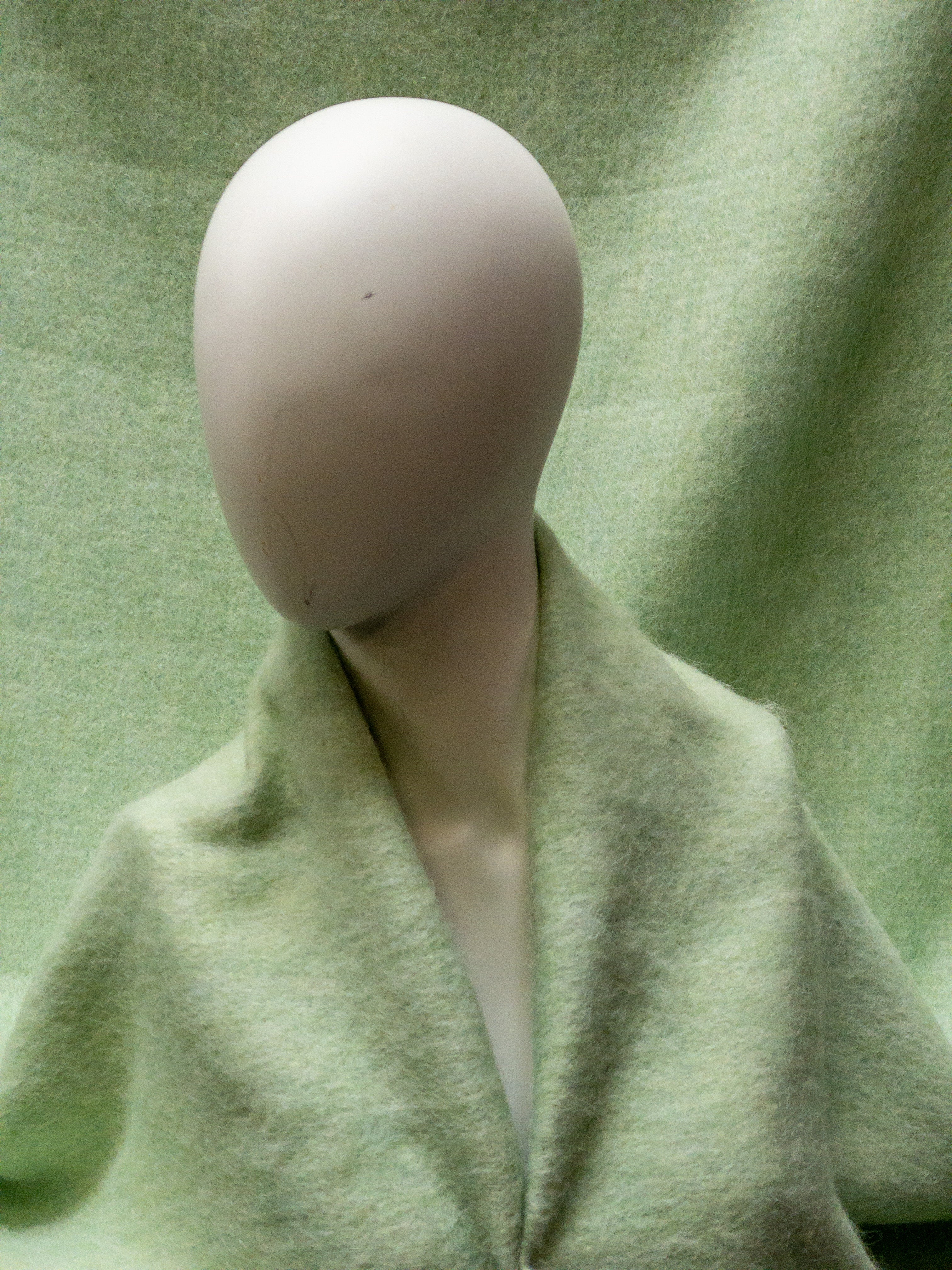 Furry wool mint